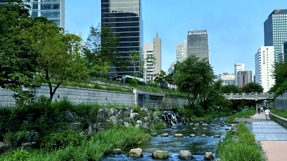 韓國首爾·青春潮流·大學街區與設計探秘之旅|中文包車一日遊