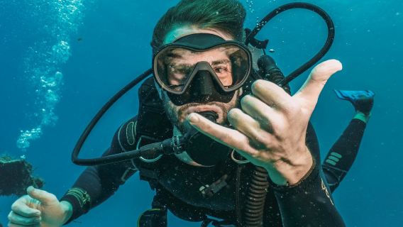 Hurghada: immersioni guidate + trasferimenti + pranzo