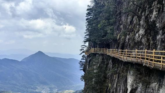 Tour di un giorno a Yichun, Jiangxi: Montagna della Luna Luminosa + Yangshimu con servizio in inglese