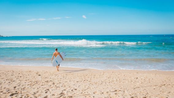 雪梨歌劇院+邦迪海灘+悉尼塔+塔龍加動物園+達令港｜包車遊※