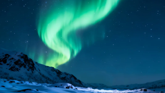 挪威境內/中文導遊/地陪嚮導/展會翻譯/商務翻譯/溝通無障礙