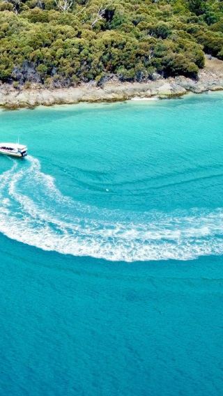 Bruny Island Half-Day Tour from Hobart, Tasmania [3-Hour English Speedboating | Round-Trip to Adventure Bay]