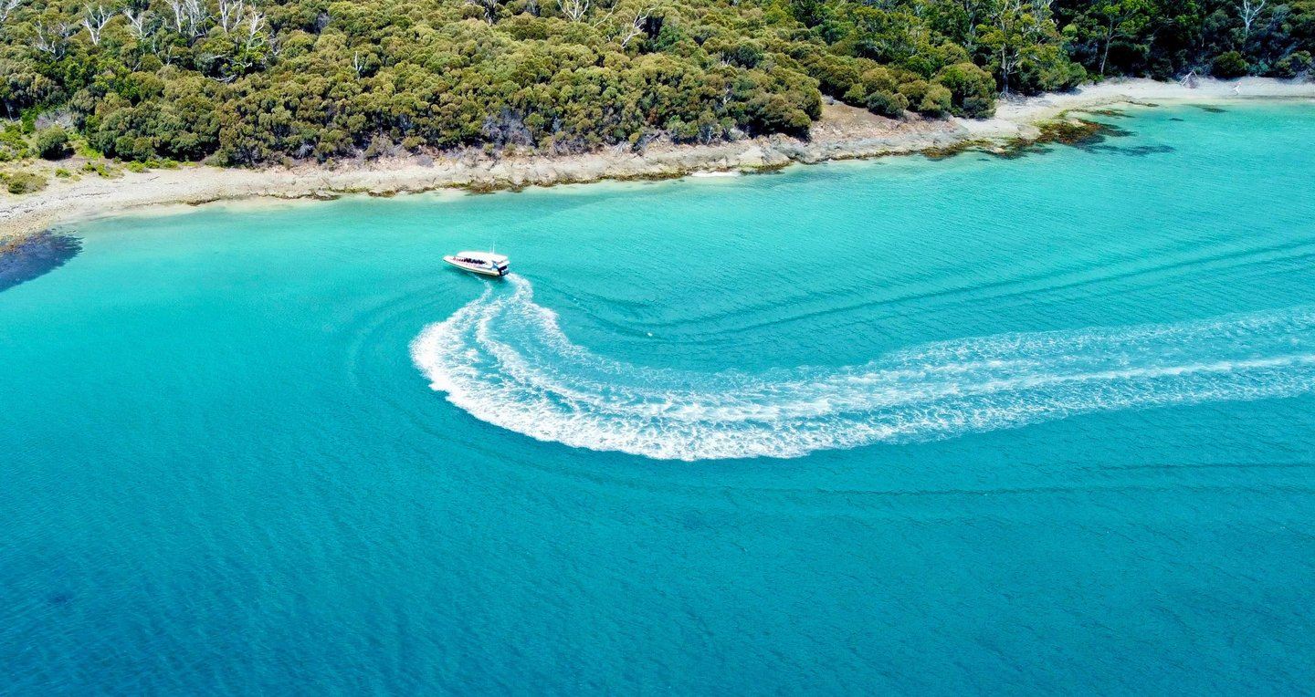 Tour giornaliero di mezza giornata a Bruny Island da Hobart, Tasmania [3 ore in motoscafo in inglese | andata e ritorno a Adventure Bay]