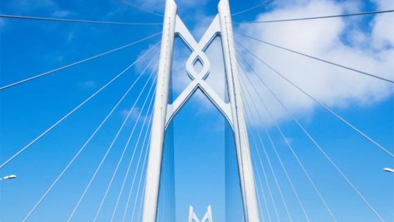 珠海港珠澳大橋140分鐘車遊丨藍海豚島登島遊覽丨穿越海底隧道