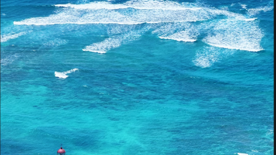 夏威夷歐胡島日遊威基基海灘+鑽石頭山+古蘭尼牧場+伊奧拉尼王宮
