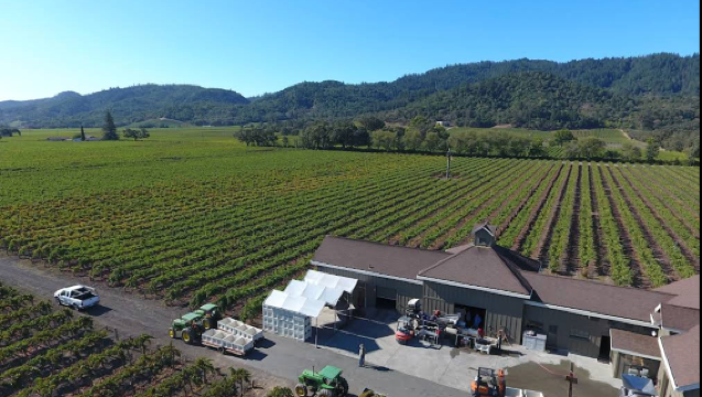 美國三藩市-納帕谷-著名酒鄉品酒郊遊好去處-可定制-中文專車