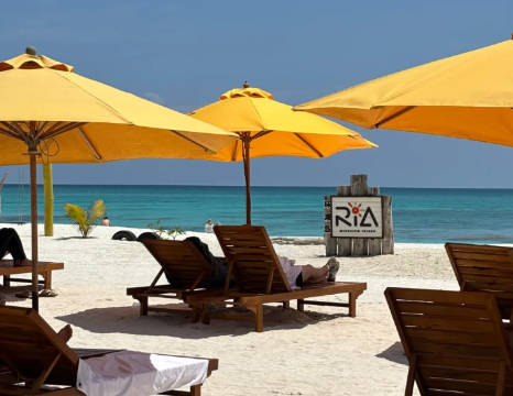 沙巴亞庇環灘島一日遊·可選擇深潛/海釣/紅樹林