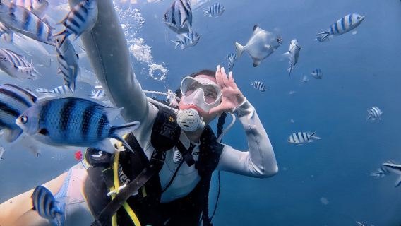 DSD deep diving at Sanya Sun Bay's viral glass sea + one-on-one coach + all-inclusive