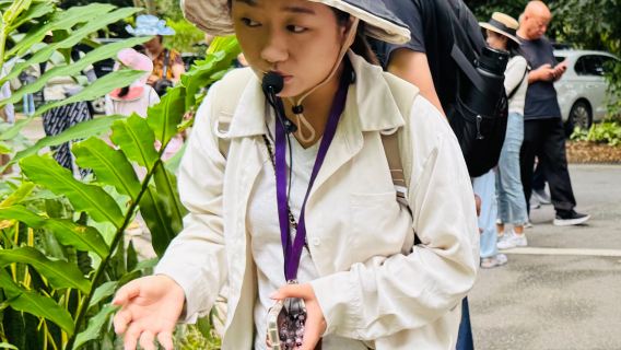 Penerangan berpandu di Taman Botani Tropika Xishuangbanna, Akademi Sains China (Tempahan)
