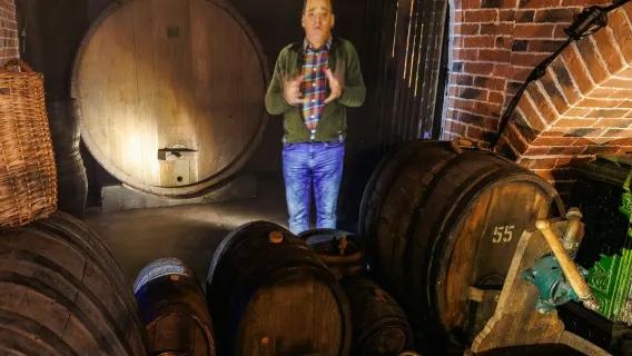 Alsatian Wines -museo: Ääniopaskierros + maistelu
