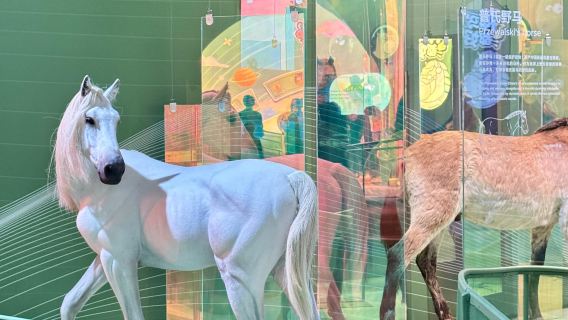 【馬年特展私家團】上海科技館1.5小時人員導覽/導覽+門票