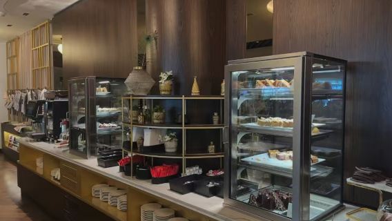 Phòng chờ VIP tại Sân bay quốc tế Wien (VIE) (Nghỉ quá cảnh + Không gian yên tĩnh riêng tư VIP + Môi trường thoải mái)T