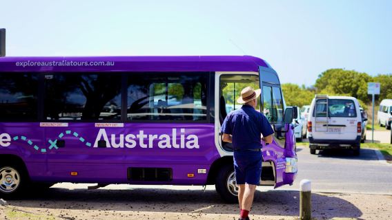 Taman Nasional Pulau French & Tur Harian Pulau Phillip Dengan [Explore Australia Tours]