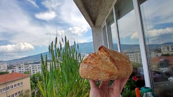 1980s Sofia: Art, Wine & Sourdough in a Family Home