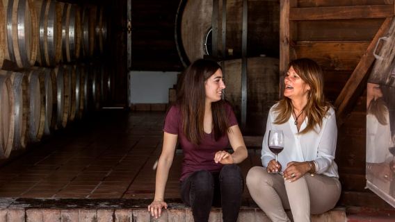 Mount Vesuvius: Vineyard Tour with Wine Tasting and Lunch