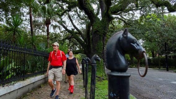 New Orleans Garden District: History & Hidden Gems