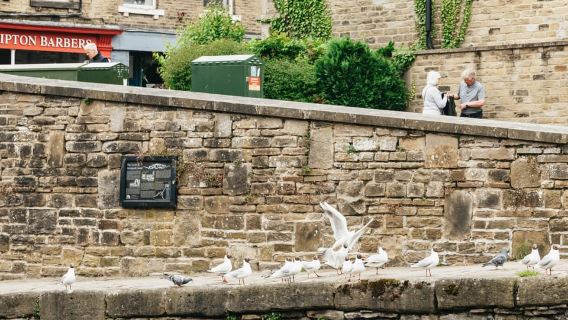 Skipton: 2-Hour Afternoon Tea Cruise