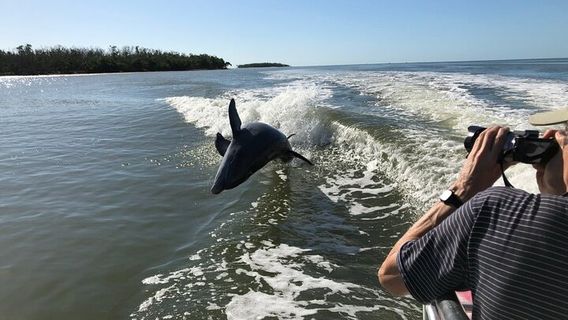 Fort LauderdaleTours