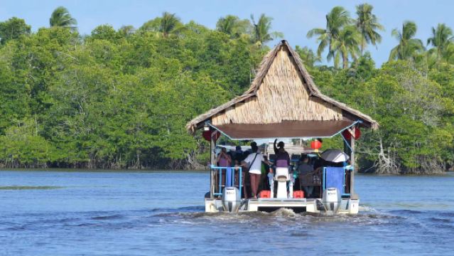 Hutan Bakau Kota Kinabalu|Pusat Penyu|Kunang-Kunang + Proboscis Monkey + Makan Malam + Minum Petang + Pengangkutan + Matahari Terbenam
