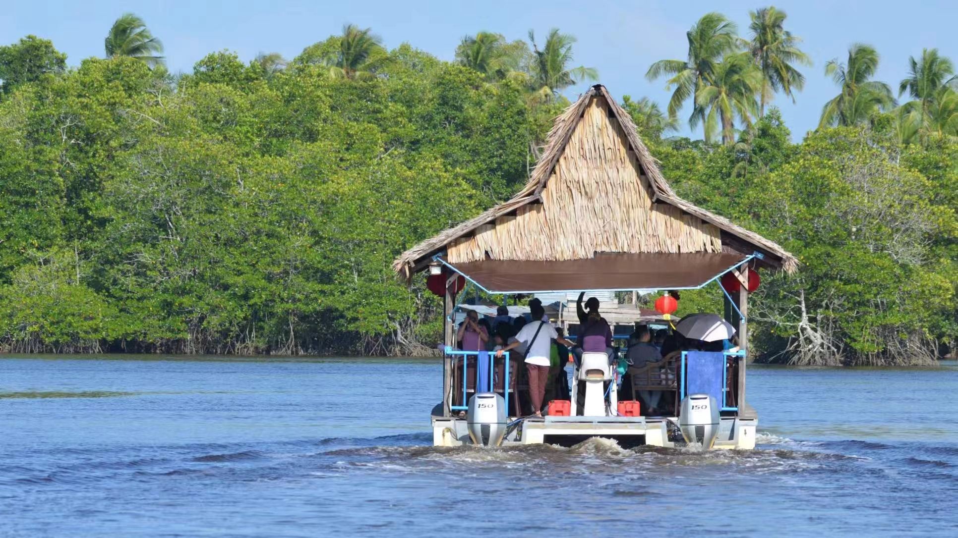 亞庇紅樹林|海龜苑|螢火蟲長鼻猴+晚餐+下午茶+車接駁+日落