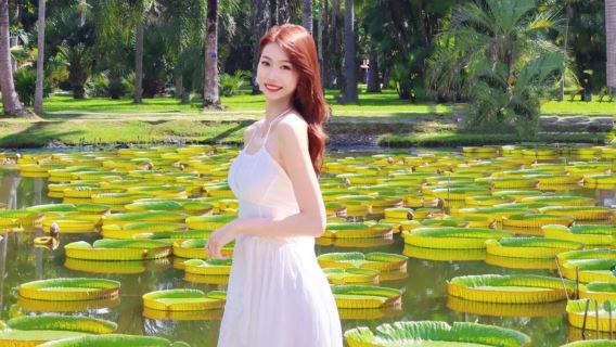 中科院熱帶植物園深度遊｜資深講解｜6H暢覽｜日夜可選