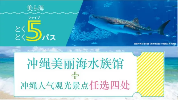 Biglietto combinato per 15 attrazioni a Okinawa