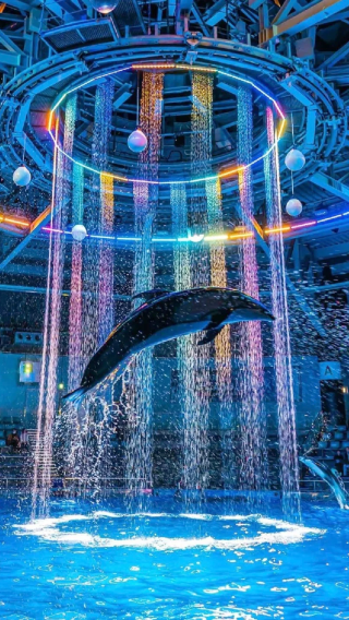 【含門票·可升級小團】沖繩北部一日遊古宇利島萬座毛水族館