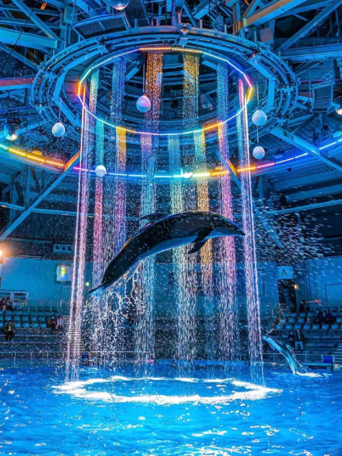 領券立減|沖繩北部美麗海水族館【中文|可選9人小團】保證發團
