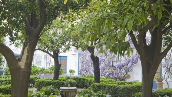 Palacio de Viana: Visita guiada