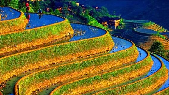 GuilinTours
