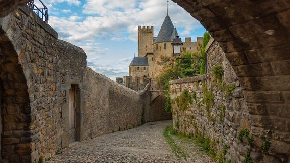 CarcassonneTours