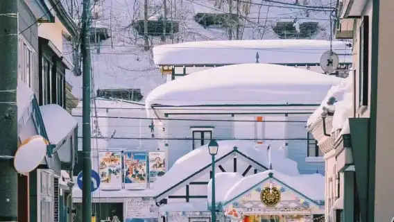 日本小樽定制包車一日遊【中文司機-上門接送-不拼團】