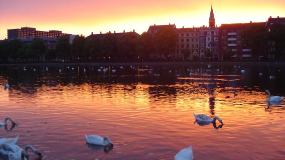 พิพิธภัณฑ์โคเปนเฮเกน + Nyhavn + โรงโอเปร่า เดนมาร์ก|ทัวร์วันเดียว/ทัวร์หลายวัน รถเช่าเหมา บริการภาษาจีนและภาษาอังกฤษ