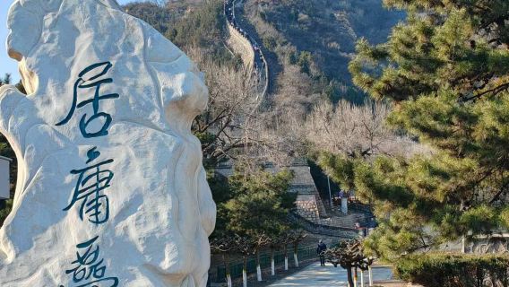 Excursion privée exclusive à la journée : Grande Muraille de Juyongguan, Voie Sacrée et Tombeaux des Ming