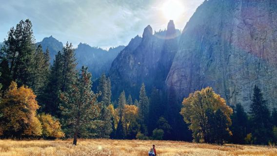 San Francisco to Yosemite National Park (El Capitan and other attractions) - 12H private charter - private charter available - top pick