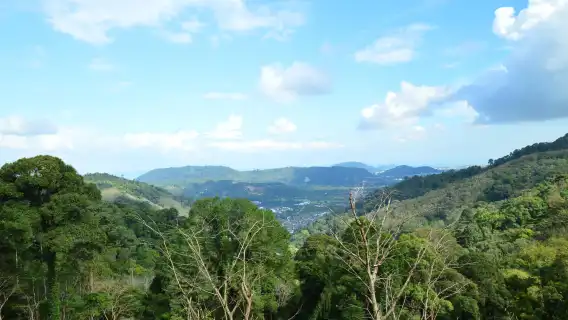 [ผจญภัยออฟโรดที่ป่าตองกรีนเมาน์เทน] ATV/4WD/ซิปไลน์| โค้ชมืออาชีพ|ฟรีรถรับส่งไปป่าตอง|เหมาะสำหรับผู้ปกครอง คู่ และการสร้างทีม