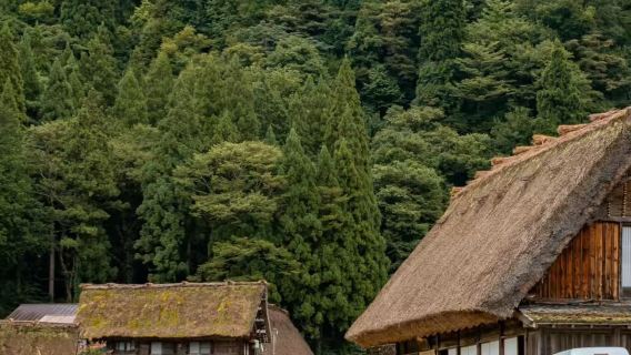 1-day tour from Nagoya to Hida Takayama and Shirakawa-go with ancient street walk and Hida beef experience