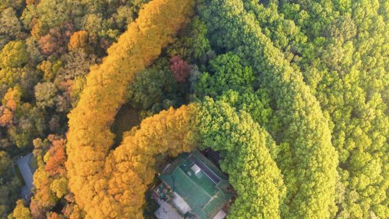Нанкин: городская стена Нанкина + храм Цзиминь + озеро Сюаньу + музей Нанкина (гид/ индивидуальный трансфер/аренда автомобиля с водителем )