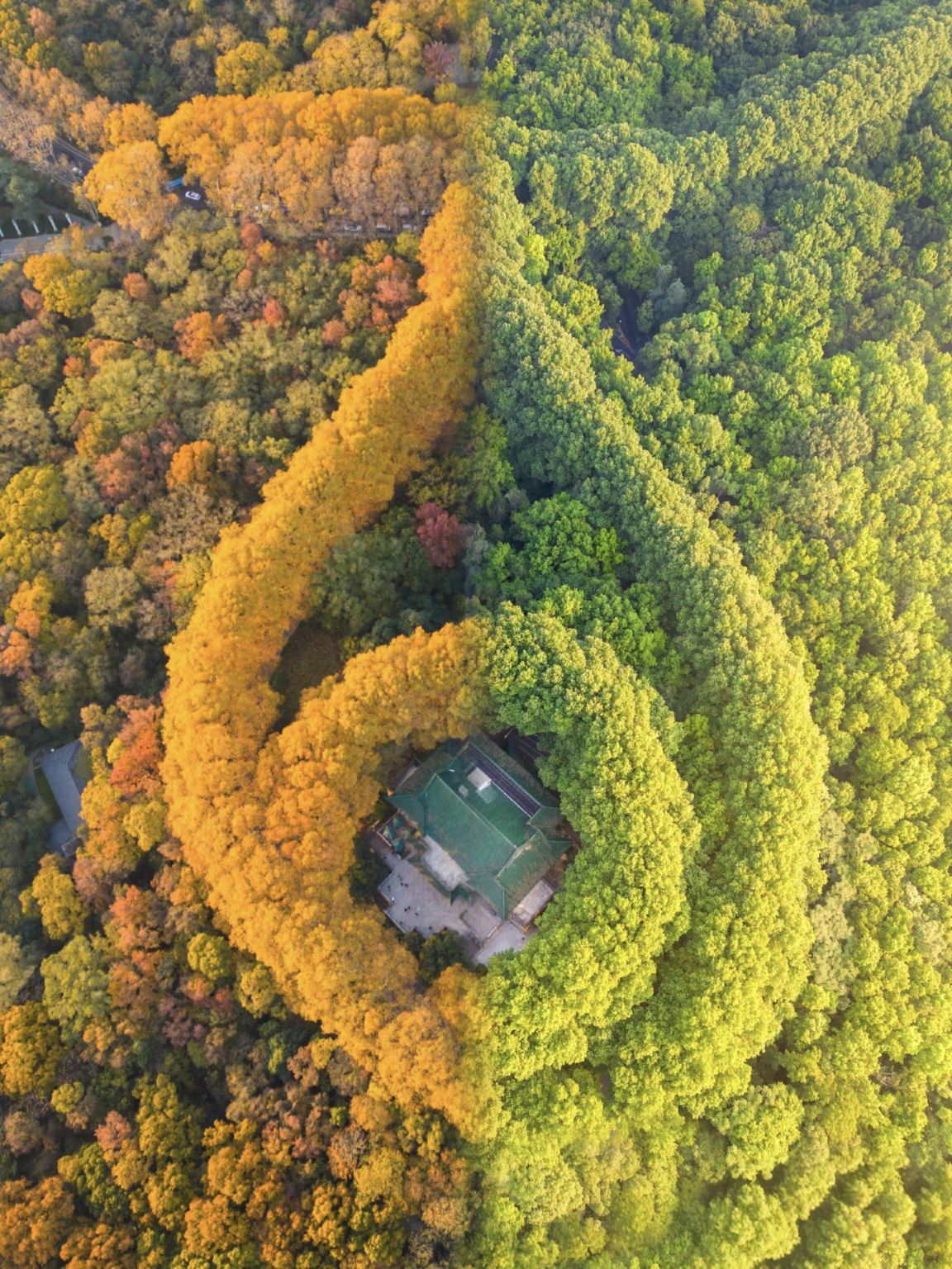 Nanjing: Nanjing City Wall + Jiming Temple + Xuanwu Lake + Nanjing Museum Guide/Private Charter G