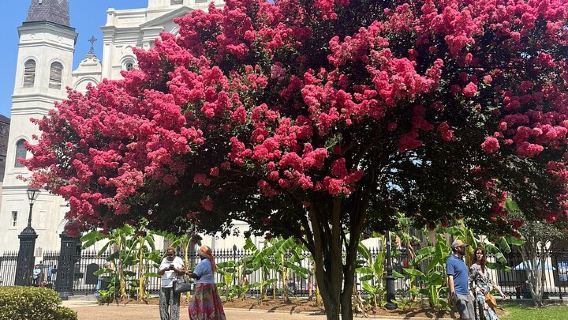 New Orleans
