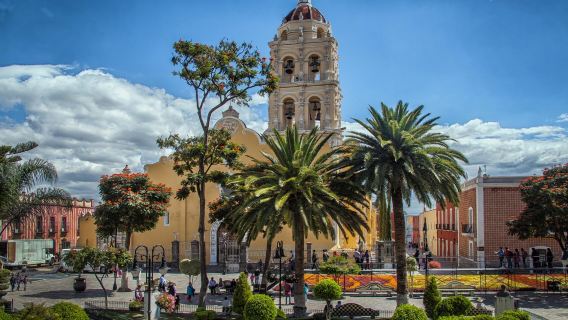 墨西哥城-帝王蝶蝴蝶谷-中文專車【多日遊全日定制】