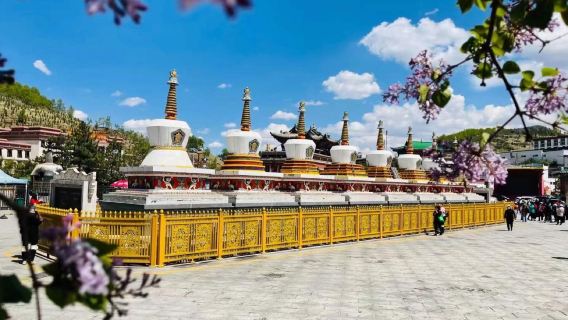 Lawatan Sehari Qinghai {Biara Ta'er + Tarikan Pelancongan Tasik Qinghu Erlangjian}