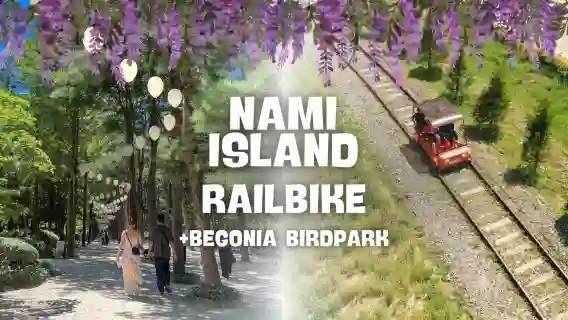 ทัวร์วันเดียว/ทัวร์หลายวัน เกาะนามิ + สวนสนุกรถไฟคังชอนในเกาหลีใต้