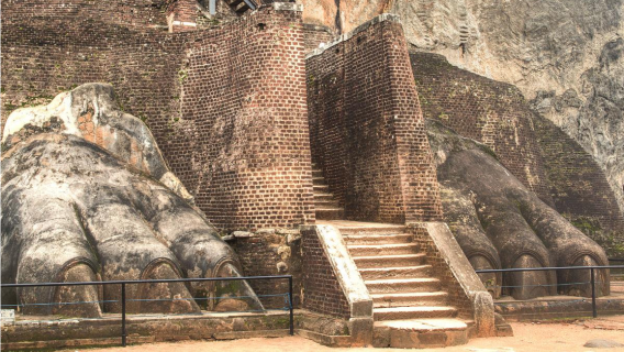 Sri Lanka|Excursión de un día a las cuevas de Dambulla y la roca de Sigiriya|Salida desde Colombo/Negombo|Coche privado y