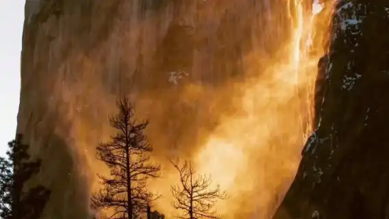 美國舊金山優勝美地國家公園+瀑布+山谷包車一日遊/行程可調