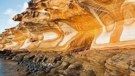 塔州一手地接|澳洲塔斯馬尼亞瑪麗亞島一日遊|上門接天天發