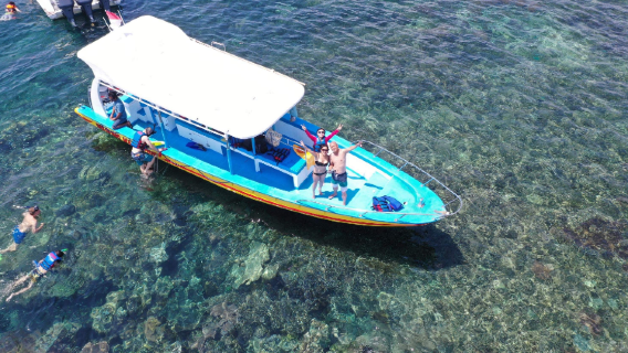 BaliTur Satu Hari
