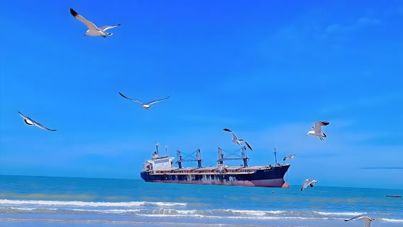 Однодневная экскурсия по достопримечательностям Шаньдуна Вэйхая: Факельной улице, Насянхаю, Голубому западу и горе Маотоу.