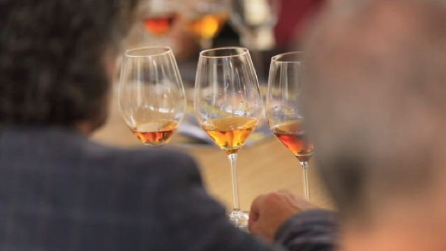 Marsala: Florio Winery Tour with Food-Paired Wine Tastings