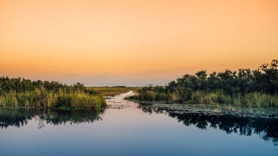 Tour semi-privato delle Everglades da Miami o Fort Lauderdale